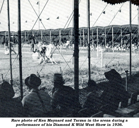 Rare photo of Ken Maynard and Tarzen in the arena during a performance of his Diamond K Wild West Show in 1936.