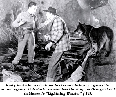 Rinty looks for a cue from his trainer before he goes into action against Bob Kortman who has the drop on George Brent in Mascot's "Lightning Warrior" ('31).