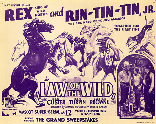 Title card for "Law of the Wild" serial starring Rex and Rin Tin Tin along with Bob Custer.